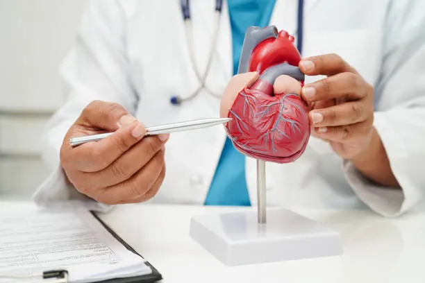 Cardiologia